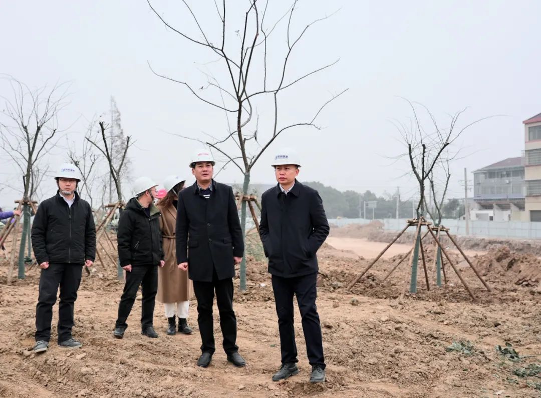 張?jiān)骑w率隊(duì)調(diào)研白云園林公司 聚焦在建項(xiàng)目與樹木種植經(jīng)營，推動綠色發(fā)展新篇章